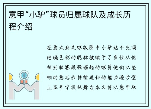 意甲“小驴”球员归属球队及成长历程介绍